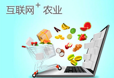 梅州農業邁入“互聯網+”時代